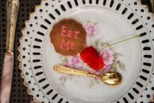 Emma GAUBEN-FORGEAUD - FORGEAUD PHOTO